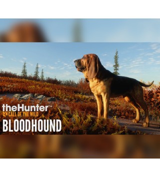 theHunter: Call of the Wild - Bloodhound DLC XBOX One / Xbox Series X|S Xbox One Key 